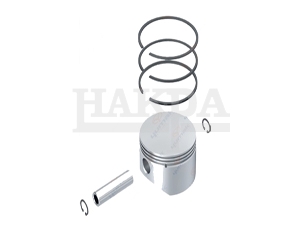 42549147
SEB22547
SEB22548-IVECO-COMPRESSOR PISTON & RING